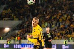 GKS_leg_42