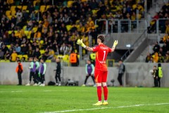 GKS_leg_55