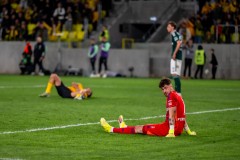 GKS_leg_65