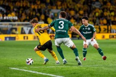 GKS_leg_71