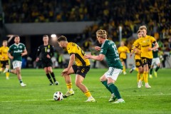 GKS_leg_81