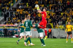 GKS_leg_84