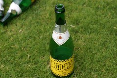 DSC00556