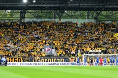 GKS_lech_49