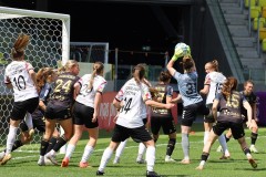 IMG_4550
