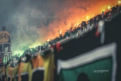 IMG_0162
