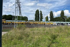 IMG_1239