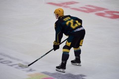 DSC_0185-1-1