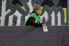 IMG_6452