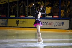 IMG_7528