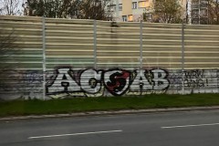 IMG_7543