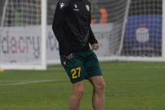 IMG_7601