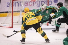 IMG_0141-1