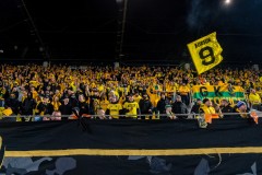 DSB_8233