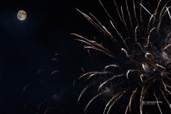 IMG_0049