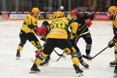 03012026HEL006