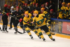 03012026HEL007