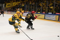 03012026HEL022