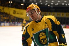 03012026HEL023