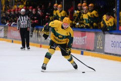 03012026HEL042