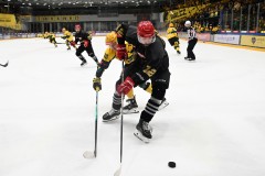 03012026HEL051