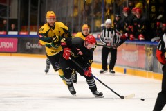 03012026HEL053