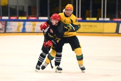 03012026HEL054