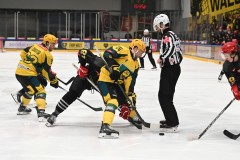 03012026HEL056