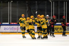03012026HEL064
