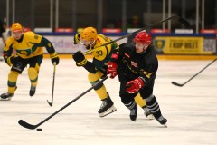 03012026HEL074