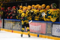 03012026HEL080