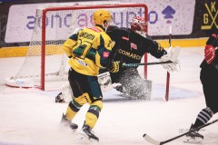IMG_0602-1