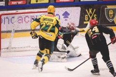 IMG_0606-1