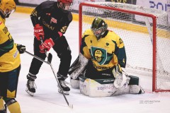 IMG_0617-1