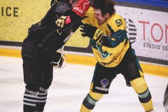 IMG_0666-1