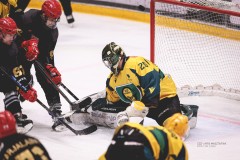 IMG_0712-1