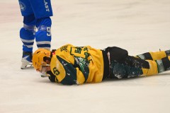 03232026HEL008