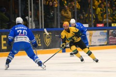 03232026HEL039
