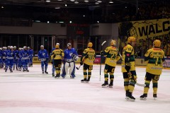 IMG_0146