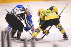 IMG_0037-1