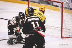 IMG_0085-1