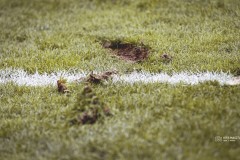 IMG_0110