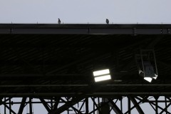IMG_0535