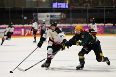 final_20