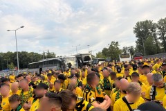 IMG_8864