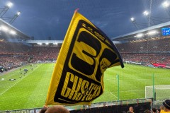 IMG_8973