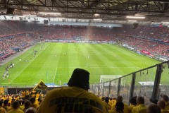 IMG_9015