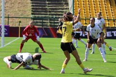 IMG_3337