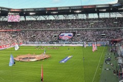 IMG_3412