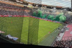 IMG_3565
